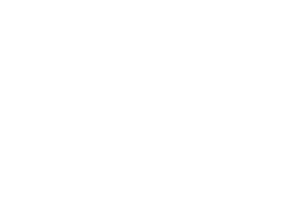Artea Groupe